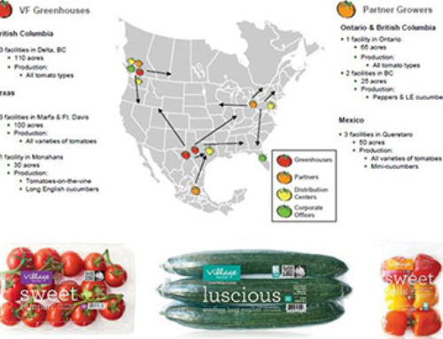Village Farms: Rare Undervalued Equity Investment Opportunity In The AgTech Sector