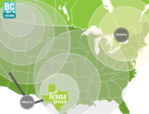 Village Farms: Experienced Grower Expands Into The Promising Canadian Cannabis Industry